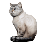 3D Figur (Haustier)