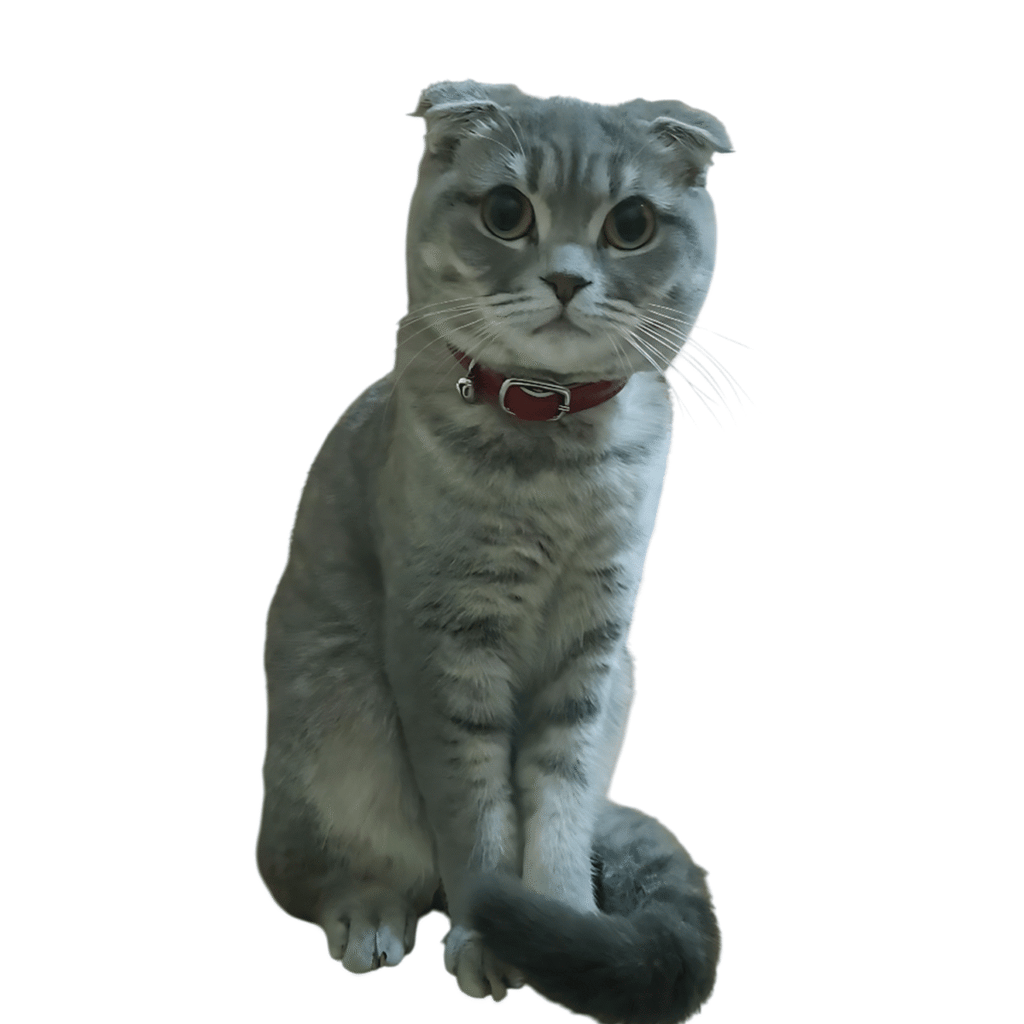 3D Figur (Haustier)