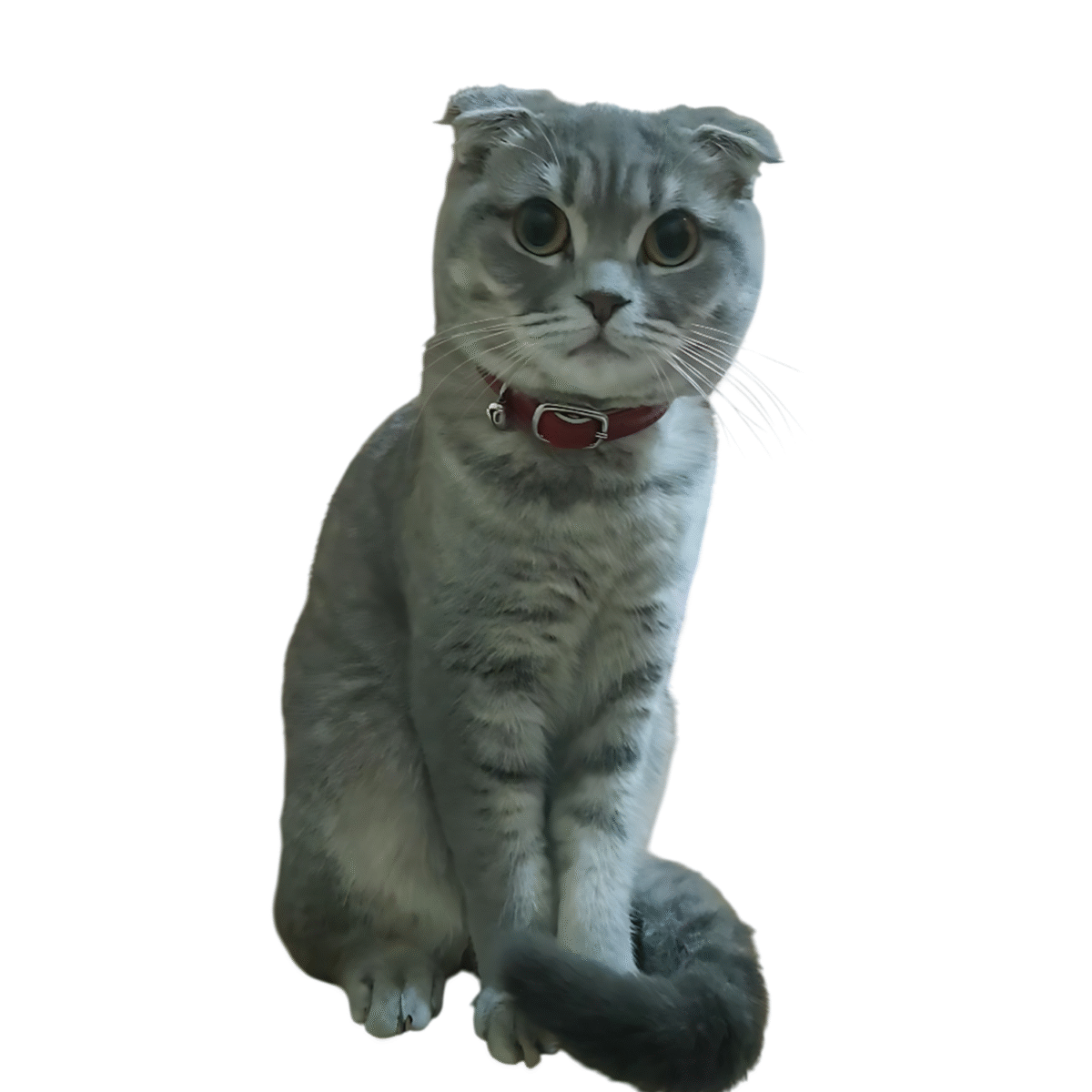3D Figur (Haustier)